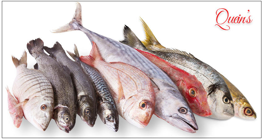 Best Fish for Health in India | Nutritional Guide for All Ages