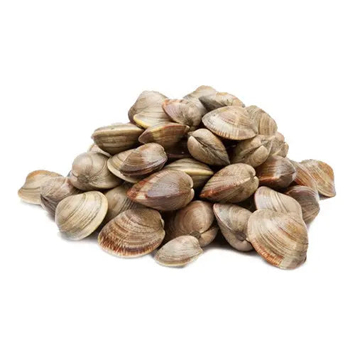 Clam Whole Fish Exotic (500 gms) Queins's