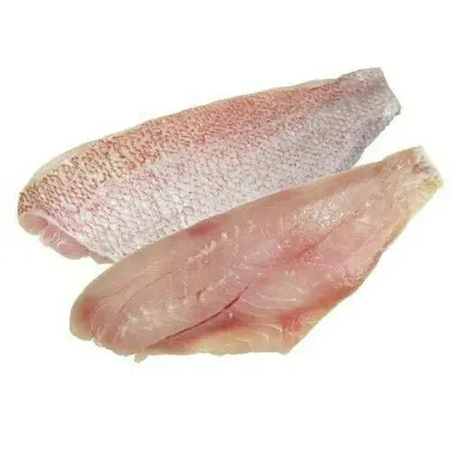 Red Snapper – Fillet (500 gms) Queins's