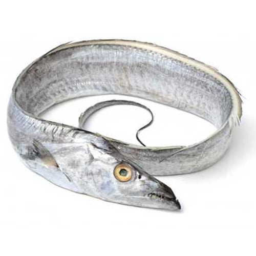Ribbon Fish Whole – 500g (Cleaned & Fresh) Quein's