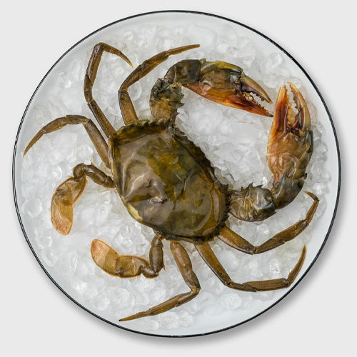 Soft Shell Crab Whole – Cleaned (500gm) Quein's
