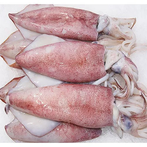 Squid Whole – 500g (Cleaned & Ready to Cook) Quein's