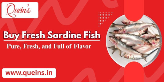 Sardine Fish Benefits and Nutrition: A Complete Health Guide