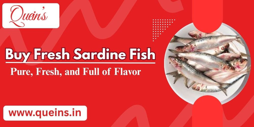 Sardine Fish Benefits and Nutrition: A Complete Health Guide