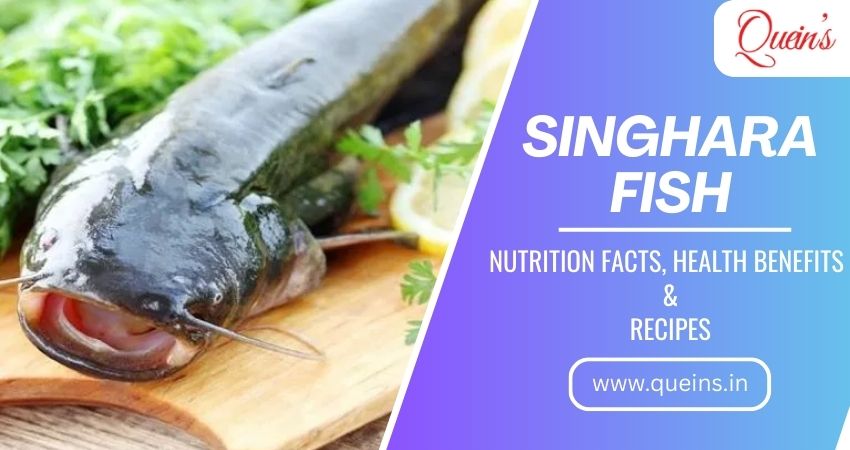 Singhara Fish Nutrition Facts – Health Benefits & Recipes – Quein's