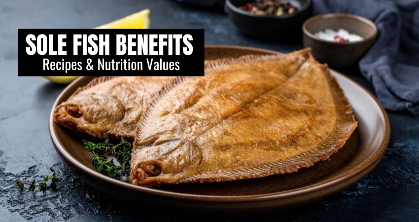 Sole Fish Benefits – Recipes & Nutrition Values