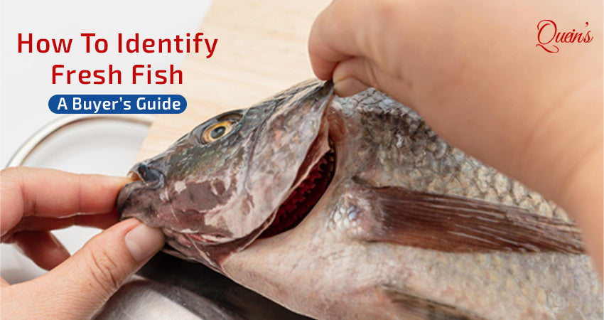 How to Identify Fresh Fish: A Buyer’s Guide for Indian Households – Quein's