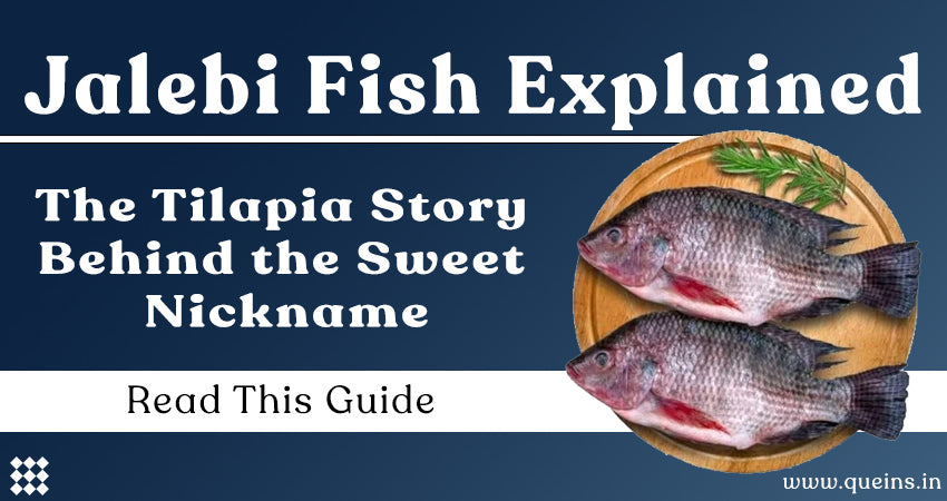 Jalebi Fish Explained: The Tilapia Story Behind the Sweet Nickname ...