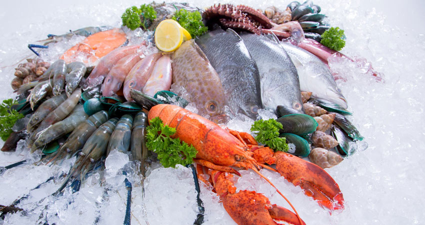 Most Expensive Seafood in India | Luxury Delicacies from the Sea