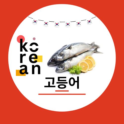 Mackerel (Bangda) (고등어) - (500 gms)