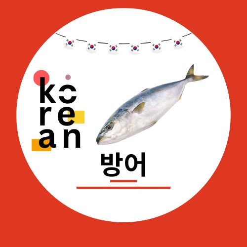 Hamachi Fish (방어) - 1 Kgs | Premium Yellowtail Fillet