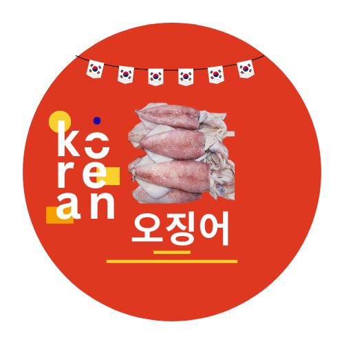 Squid Whole (오징어) – 500g (Cleaned & Ready to Cook)