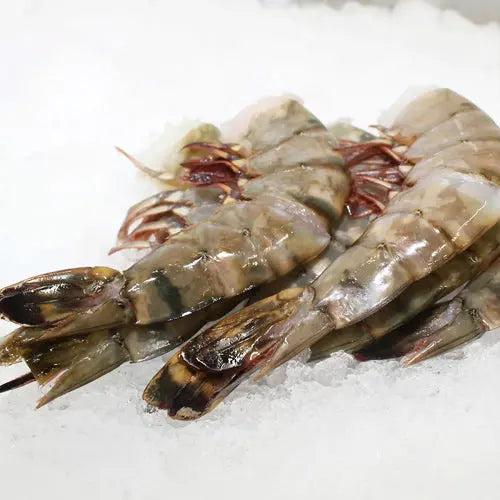 Prawn Black Tiger (8/12 Super Jumbo Size)- (500 gms) Queins's