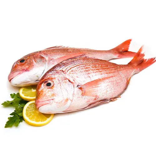 Red Snapper –  Fillet (500 gms) Queins's