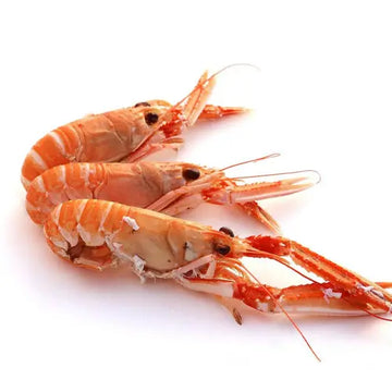Buy Fresh & Frozen Sea Foods Online – Prawns, Fish & More | Quein’s ...